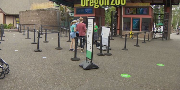 The Oregon Zoo is open again since the end of November and the local residents are very excited