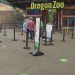 The Oregon Zoo is open again since the end of November and the local residents are very excited