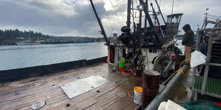 Crabbing season opens up in Oregon on Wednesday, but several questions remain