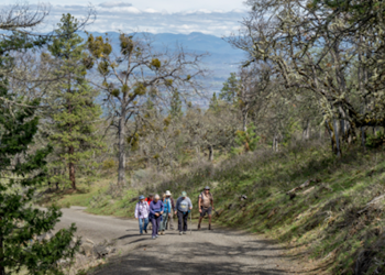The State of Oregon Parks and Recreation Commission awarded the City $738,168 to assist with the renovations of a park and a popular trail in Prescott Park