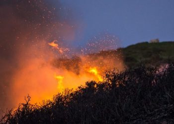 Governor Kate Brown invoked the Emergency Conflagration Act as a preemptive measure in response to the Cedar Creek Fire burning in the National Forest east of the community of Oakridge in Lane County