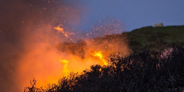 Governor Kate Brown invoked the Emergency Conflagration Act as a preemptive measure in response to the Cedar Creek Fire burning in the National Forest east of the community of Oakridge in Lane County