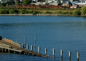 Oregon’s Marine Reserves Program plans to return to the ports of Garibaldi and Port Orford this spring and fall in the latest installment of this unique way