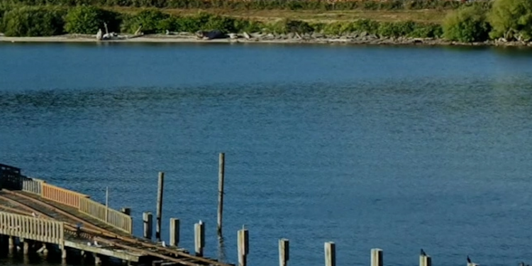 Oregon’s Marine Reserves Program plans to return to the ports of Garibaldi and Port Orford this spring and fall in the latest installment of this unique way