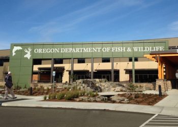 The Oregon Department of Fish and Wildlife is seeking a new member to represent the Coos, Coquille and Tenmile STEP District on the Salmon and Trout Advisory Committee