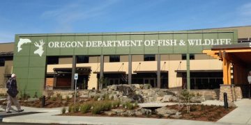 The Oregon Department of Fish and Wildlife is seeking a new member to represent the Coos, Coquille and Tenmile STEP District on the Salmon and Trout Advisory Committee