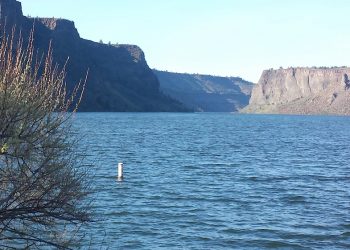 State officials are asking boaters to use caution and patience when boating during temporary lower-than-normal reservoir levels through this spring at The Cove Palisades State Park