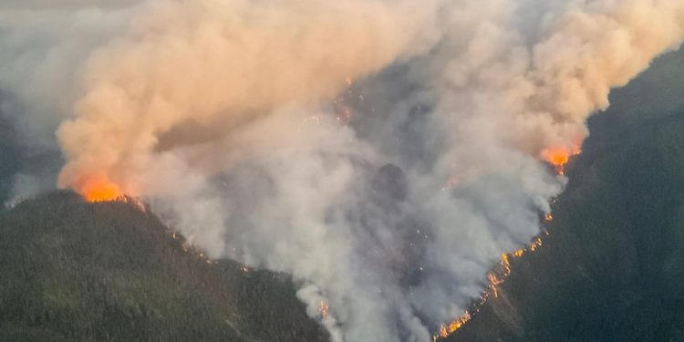 The latest Smoke Trends report from the Oregon Department of Environmental Quality underscores the continuation of the trend of more summertime smoke due to wildfires, officials say
