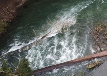 State officials urge every boater to plan ahead because river conditions can change daily which is why checking river levels is critical