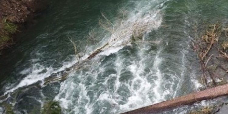 State officials urge every boater to plan ahead because river conditions can change daily which is why checking river levels is critical