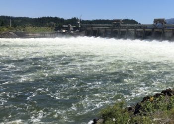 Fishery managers from Oregon and Washington added four additional days of recreational spring Chinook salmon fishing in the mainstem Columbia River downstream of Bonneville Dam during a joint state meeting