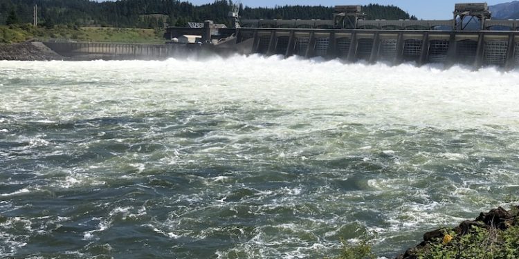 Fishery managers from Oregon and Washington added four additional days of recreational spring Chinook salmon fishing in the mainstem Columbia River downstream of Bonneville Dam during a joint state meeting
