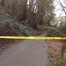 Landslide Hits Portland’s Rocky Butte Neighborhood Amid Strong Storms