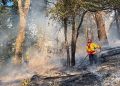 Eugene Fire Department Faces Rising Challenges Amid Growing Wildfire Threat