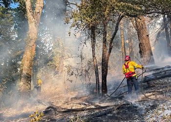 Eugene Fire Department Faces Rising Challenges Amid Growing Wildfire Threat