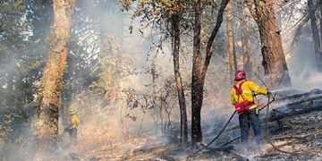 Eugene Fire Department Faces Rising Challenges Amid Growing Wildfire Threat