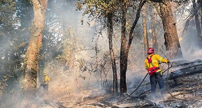 Eugene Fire Department Faces Rising Challenges Amid Growing Wildfire Threat