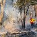 Eugene Fire Department Faces Rising Challenges Amid Growing Wildfire Threat