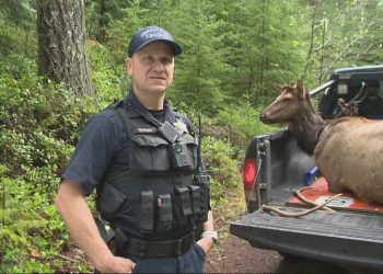 High-Tech Poaching Operation in Oregon Targets Use of Infrared Devices for Illegal Hunting