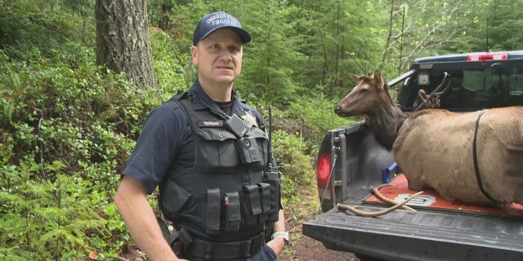 High-Tech Poaching Operation in Oregon Targets Use of Infrared Devices for Illegal Hunting