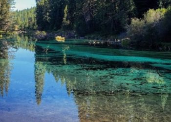 First Day Hikes Kick Off 2024 with Outdoor Adventures Across Oregon