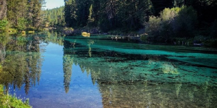 First Day Hikes Kick Off 2024 with Outdoor Adventures Across Oregon