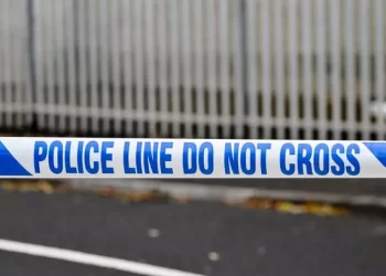 Elderly Driver Rescued Following Two-Vehicle Crash on Echo Hollow Road