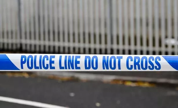 Elderly Driver Rescued Following Two-Vehicle Crash on Echo Hollow Road