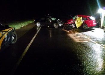 Astoria Man Recovers from Serious Injuries After Car Crash, Family’s Focus Shifts to Missing Dog