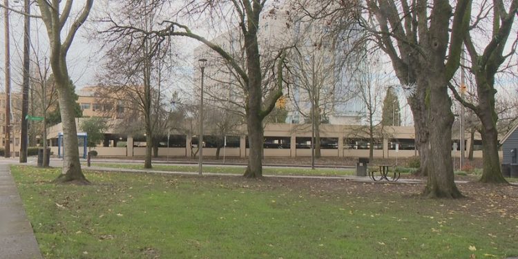 Portland City Council Reaffirms Commitment to Improving Safety at Dawson Park Amid Ongoing Concerns