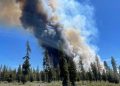 Oregon Faces $300 Million Debt from Devastating Wildfire Season, Pushes for More Federal Aid