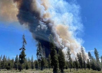 Oregon Faces $300 Million Debt from Devastating Wildfire Season, Pushes for More Federal Aid