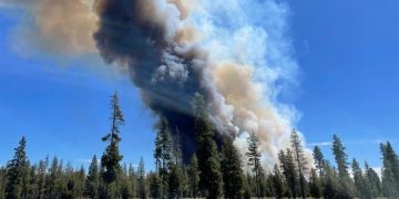 Oregon Faces $300 Million Debt from Devastating Wildfire Season, Pushes for More Federal Aid
