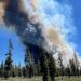 Oregon Faces $300 Million Debt from Devastating Wildfire Season, Pushes for More Federal Aid