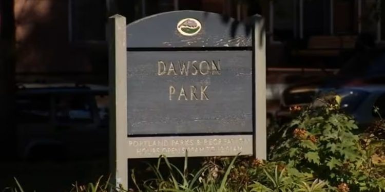 Portland City Council Pledges Continued Efforts to Improve Safety at Dawson Park Amid Rising Crime Concerns