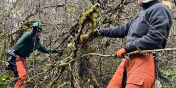 Oregon Nonprofit Tackles Wildfire Risk with Tree Cutting and Youth Training