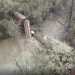 Railroad Trestle Collapse Sends Freight Cars into Marys River in Corvallis
