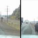 Loose Cow Causes Chaos on Interstate 84, Ends Up Collapsing After Long Journey