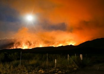 Oregon Offers Support and Guidance on How to Assist Victims of Southern California Wildfires