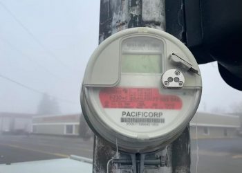 Power Outage Affects Nearly 36,000 in Douglas County, Oregon