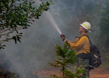 Oregon Senators Urge Exemption for Seasonal Firefighters from Federal Hiring Freeze
