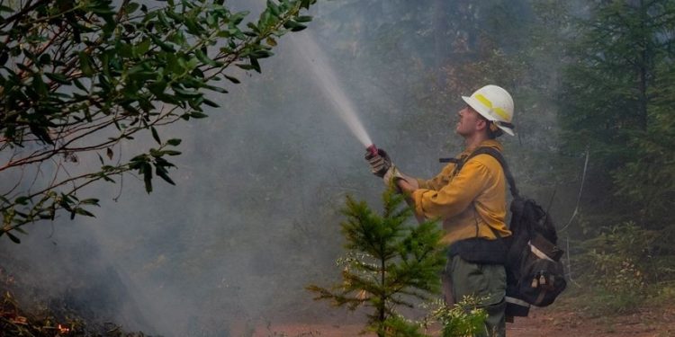 Oregon Senators Urge Exemption for Seasonal Firefighters from Federal Hiring Freeze