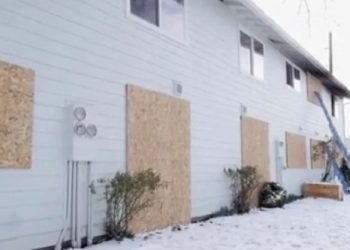 Fire at Springfield Apartment Complex Claims Lives of Several Cats; Advocacy Group Calls for Action