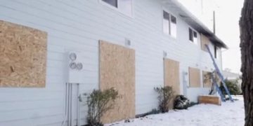 Fire at Springfield Apartment Complex Claims Lives of Several Cats; Advocacy Group Calls for Action