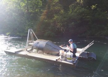 Oregon Workers and Nonprofits Struggle Amid Federal Cuts and USAID Freeze