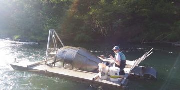 Oregon Workers and Nonprofits Struggle Amid Federal Cuts and USAID Freeze