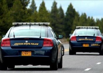 Fatal Head-On Crash on Highway 138 Near Kellogg, Oregon