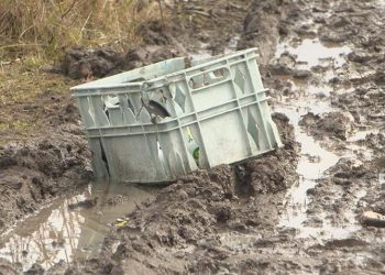 Eugene Neighbors Optimistic as Bethel Community Cleanup Progresses