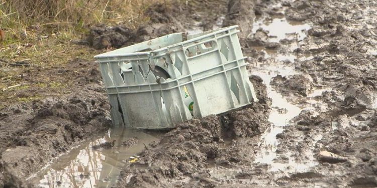 Eugene Neighbors Optimistic as Bethel Community Cleanup Progresses