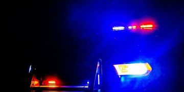 Dog Attack on U.S. Forest Service Land Leads to Fatalities for Two Dogs, Owner Cited